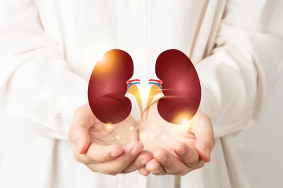 Kidney Disorder Treatment